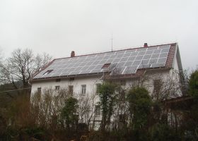 plant-image