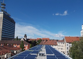 plant-image